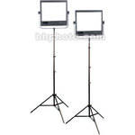 Interfit DigitFlash 2 Panel Kit (120V)