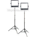 Interfit DigitFlash Two Panel Kit (120VAC)