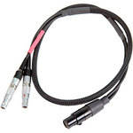 Remote Audio CAZTA3LELY TA3F to Dual 4-Pin Lemo Y-Cable for Zaxcom (18")