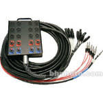 Whirlwind Medusa Power Series 12 Channel Snake Cable - 100'