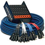 Whirlwind Medusa Standard 24 Channel (8x XLR Return) Snake - 100'