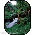 Botero #C703 5x7' Scenic Background
