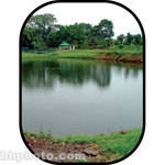 Botero #C715 5x7' Scenic Background