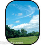 Botero #C720 5x7' Scenic Background
