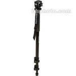 Manfrotto 679B 3 Section Monopod with 234 Swivel/Tilt Head- Supports 5.5 lb (2.5kg)