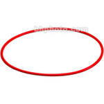 Olympus O-Ring for PT-021