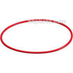 Olympus O-Ring for PPO-04
