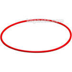 Olympus O-Ring for PT-024