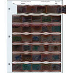 Pana-Vue Negative Page (7 Strip/5 Frame, 25 Strips)