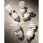 Ushio 23W Fluorescent Coilight