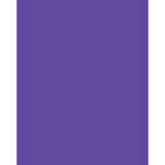 Tiffen 2 x 3" 80A Color Conversion Filter