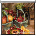 Vutec Econo Pro Manual Wall Front Projection Screen (72x96") 