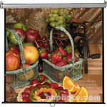 Vutec Econo Pro Manual Wall Front Projection Screen (96x96") 