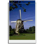 Vue-All Archival Storage Sleeve for Prints & Film - 11 x 17" - 25 Pack