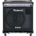 Roland 330W Bass Amplifier