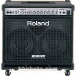 Roland D-Bass 210 400W Bass Amplifier