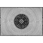 Nikon Focusing Screen G4 for F4 Series