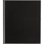 Start / Prat Archival Sheet Protectors (14 x 17", 5-Pack)