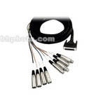 Hosa Technology DMP-235 DB-25 to XLR Breakout Snake for Tascam and Panasonic