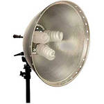 Interfit Interfit Fluorescent Flood Light with Bulbs