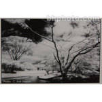 Cokin A007 Infrared Resin Filter for Black and White