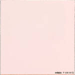 Cokin P039 Warm (81Z) Resin Filter