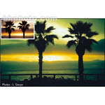 Cokin Z-Pro 006 Yellow Green Resin Filter