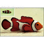 Cokin Z-PRO 036 FL-W Fluorescent Resin Filter