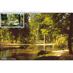 Cokin Z-PRO 037 Warming (81EF) Resin Filter
