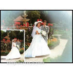 Cokin Z-PRO 140 Oval Center Spot/White Resin Filter