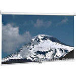 Bretford 6577-M Series 65 Wall Projection Screen (84 x 84")