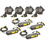 Dedolight Master 4 Light Kit (123V)