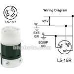 Altman Twist-Lock (LR5-15R) Connector, Female - 15 Amps