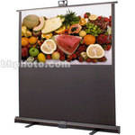 Draper Piper Portable Projection Screen - 37.75 x 67.25" - Matte White