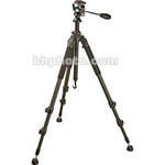 Davis & Sanford CarbonLiteX10 Carbon Fiber Tripod with FGX10 Head