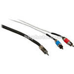 Pro Co Sound Stereo Mini to 2 RCA Male Soundcard Patch Y-Cable - 3'