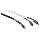 Pro Co Sound Stereo Mini to 2 RCA Male Soundcard Patch Y-Cable - 10'