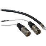 Pro Co Sound Stereo Mini to 2 XLR Male Soundcard Patch Y-Cable - 10'