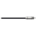 Pro Co Sound RAC Kable - RCA  to Blunt End Patch Cable - 10'