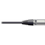 Pro Co Sound RAC Kable - XLR Male  to Blunt End Patch Cable - 10'