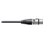 Pro Co Sound RAC Kable - XLR Female  to Blunt End Patch Cable - 20'