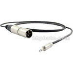 Pro Co Sound Mono Mini Male to XLR Male Cable - 10