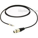 Pro Co Sound Mono Mini Male to XLR Female Cable - 10