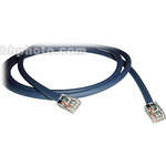 Pro Co Sound ProCat 5 10/100 Base-T Ethernet Cable RJ-45 - 1' (0.30 m)
