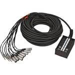Pro Co Sound StageMaster Snake 12 Channel Stagebox to Fanout (8x Send + 4x 1/4" TRS Stereo Phone Male Return) (100')