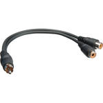 Pro Co Sound 330F1PC RCA-M to 2 RCA-F Adapter