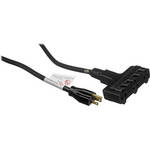 Pro Co Sound E-Cord Electrical Extension Cord (12-Gauge) - 50'