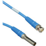 Canare Video Patch Cable, Patch Plug to BNC  - 2' (Blue)