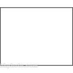 Botero #000 Muslin Background (5x7', White)