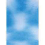 Botero #008 Muslin Background (5x7', Sky Blue, White)